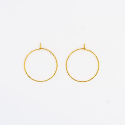 Surgical Steel Earring Hoops